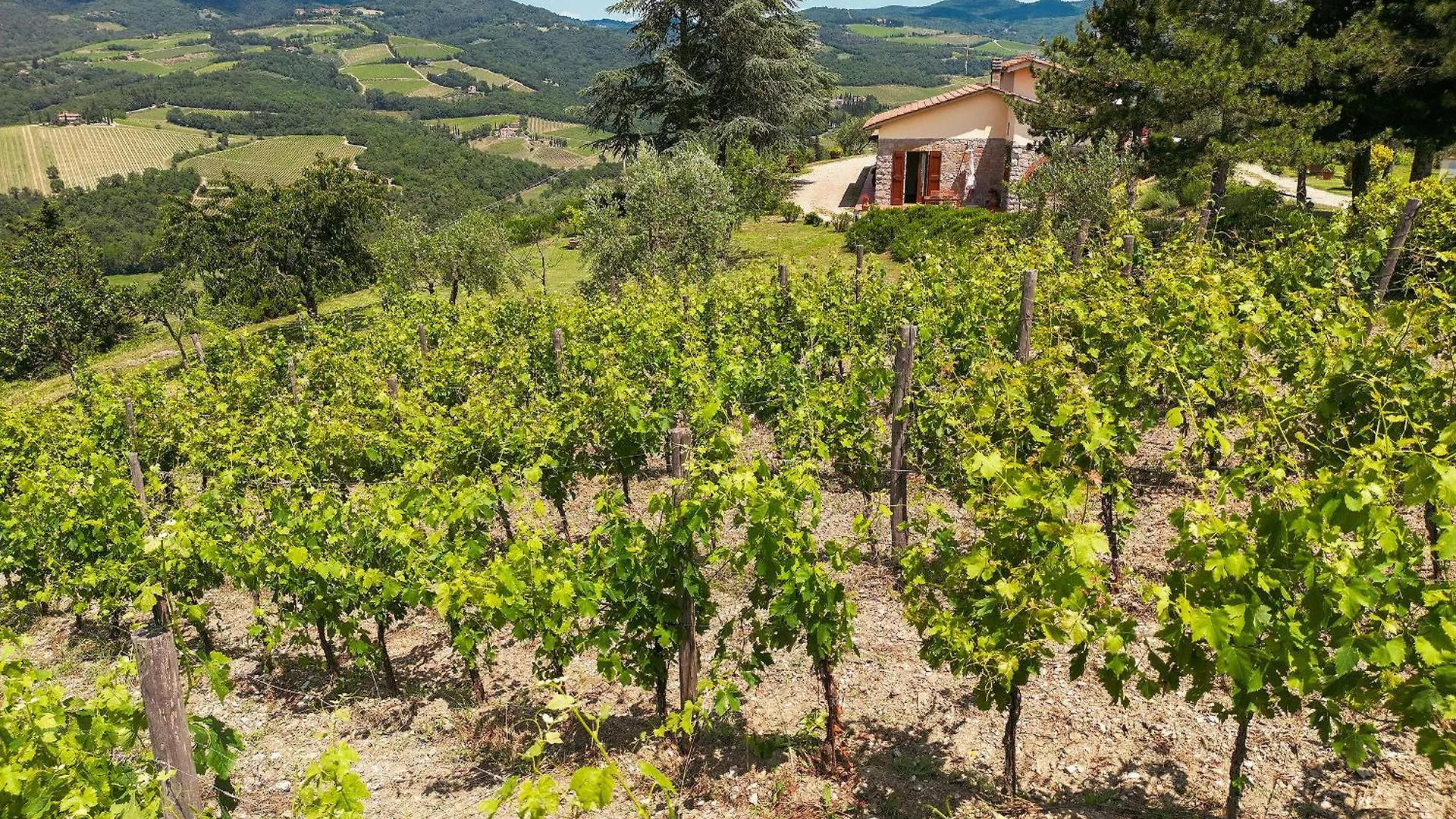 Tenuta Il Poggetto Radda in Chianti Italië